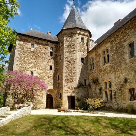 Chateau De Chanze Faye-d'Anjou Екстериор снимка