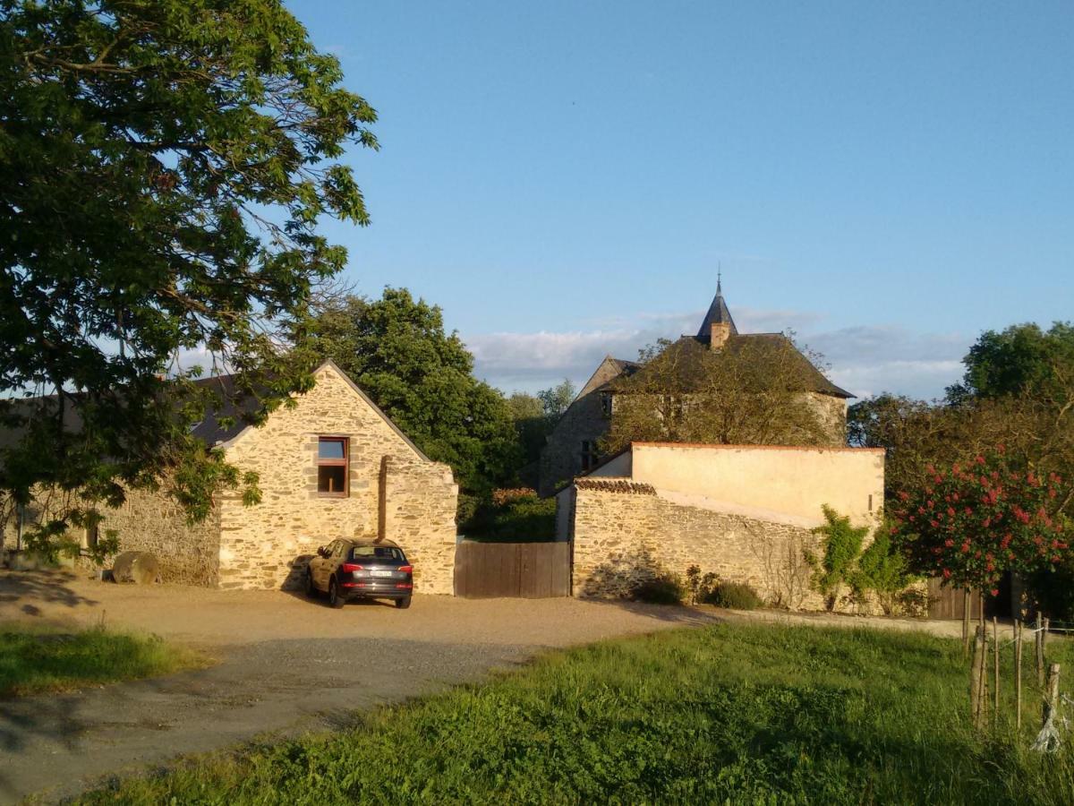 Chateau De Chanze Faye-d'Anjou Екстериор снимка