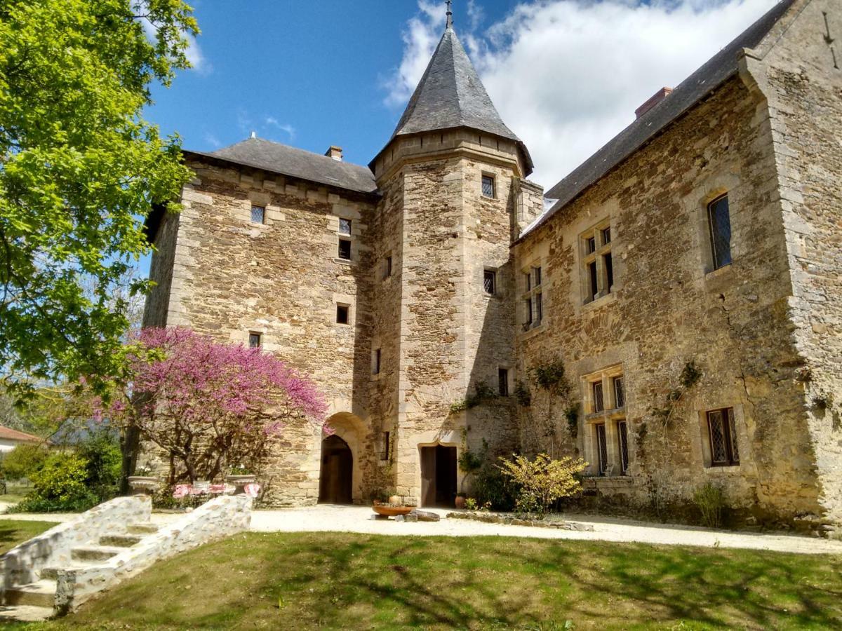 Chateau De Chanze Faye-d'Anjou Екстериор снимка