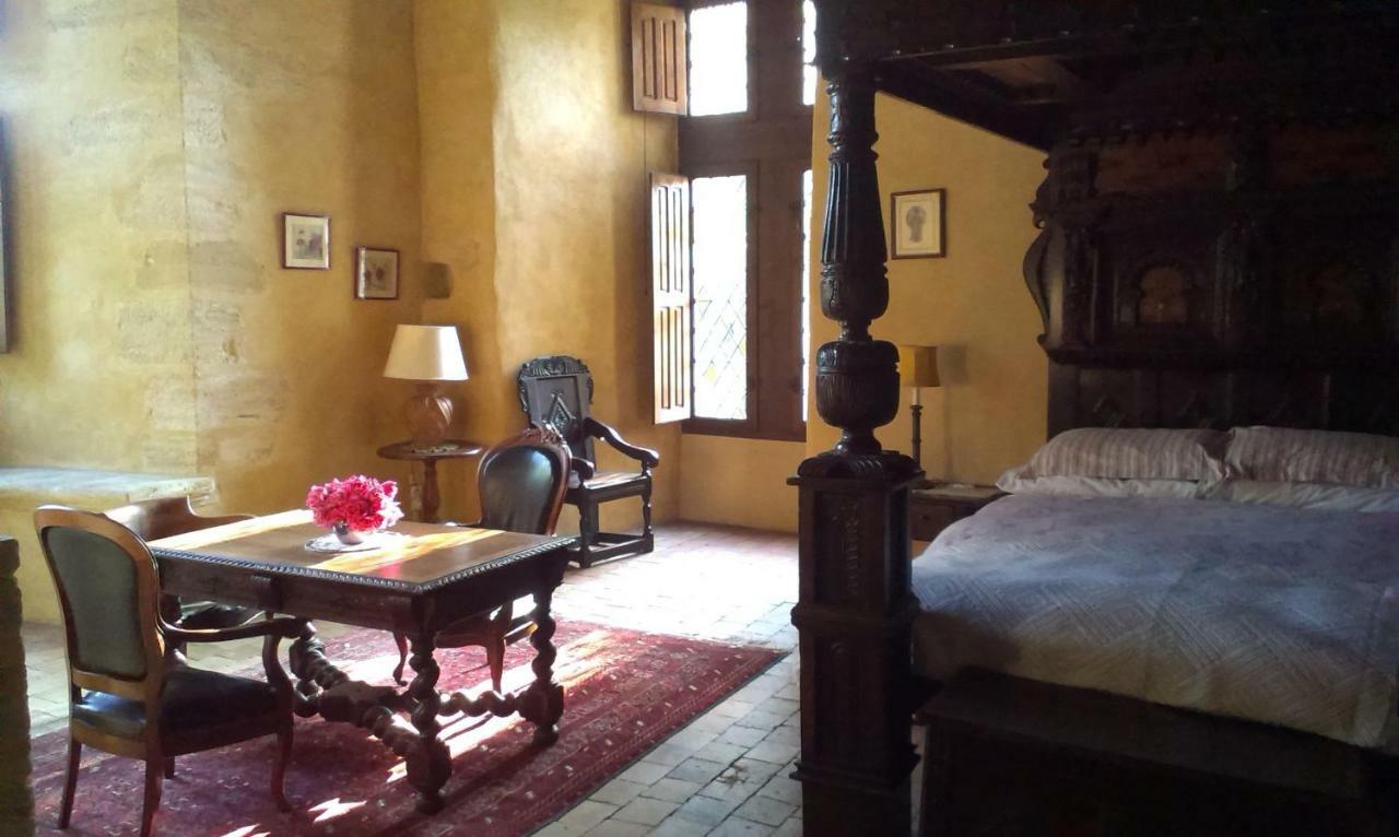Chateau De Chanze Faye-d'Anjou Екстериор снимка